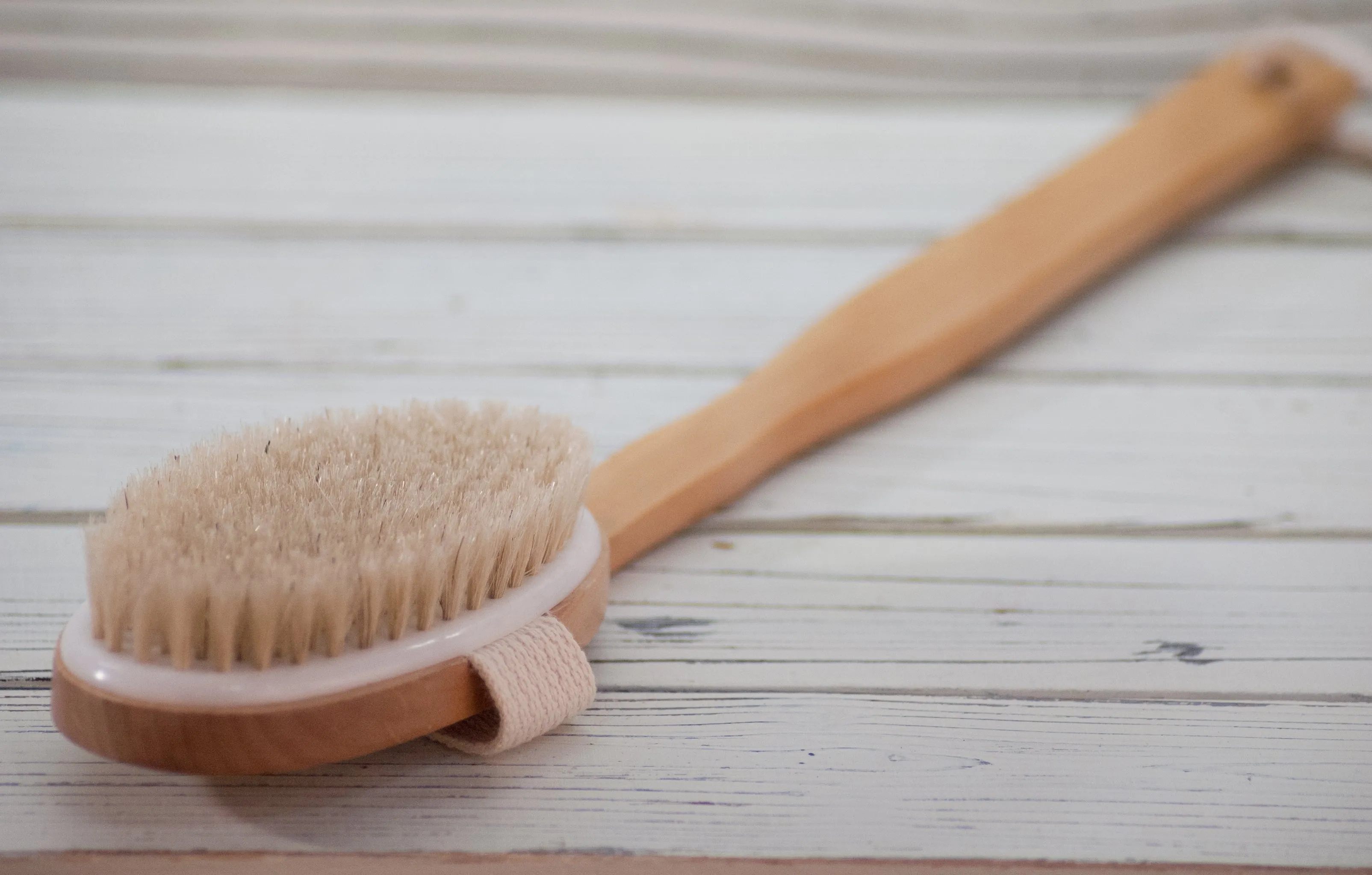 Back Brush-Detachable