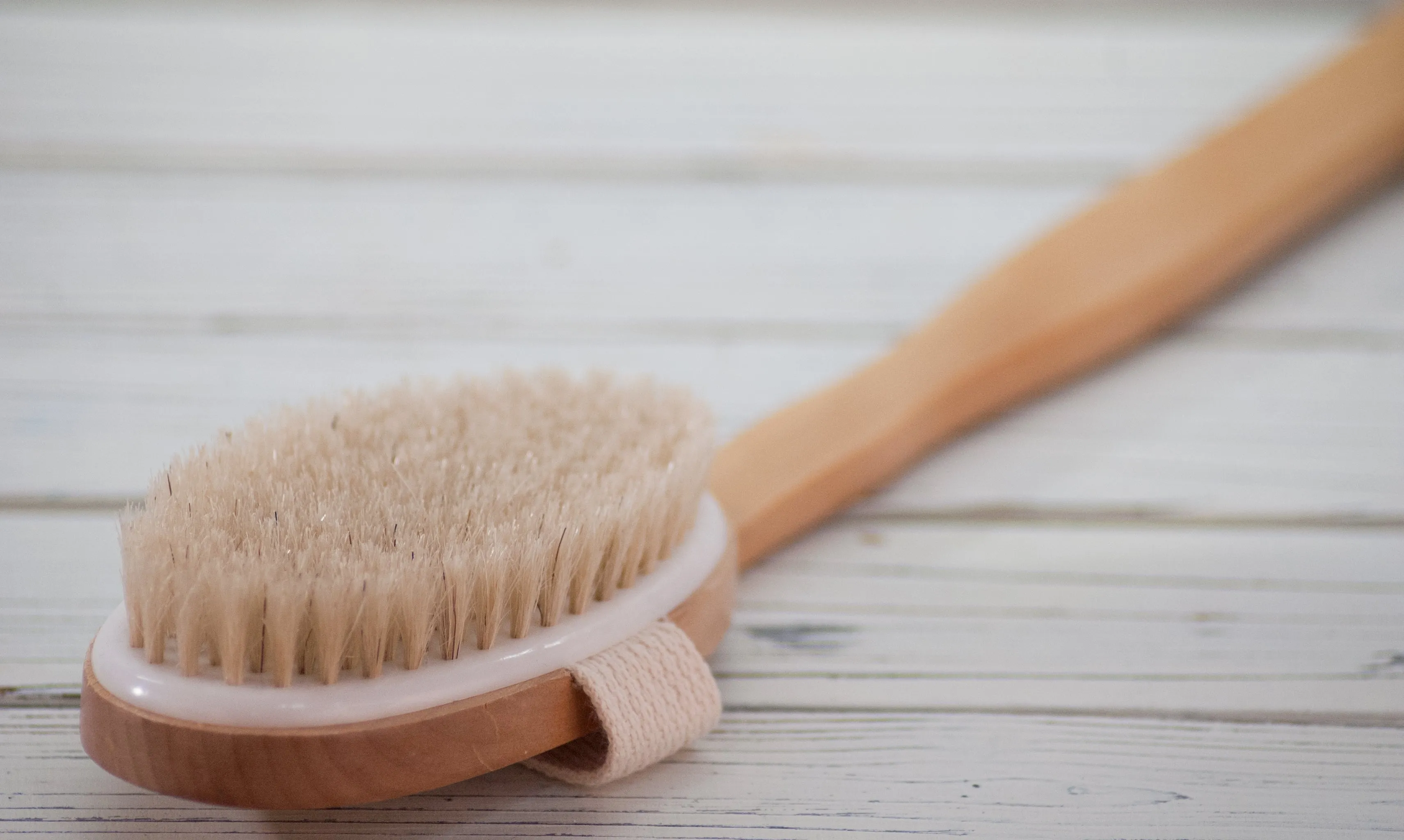 Back Brush-Detachable