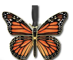 BD0030-Monarch Butterfly