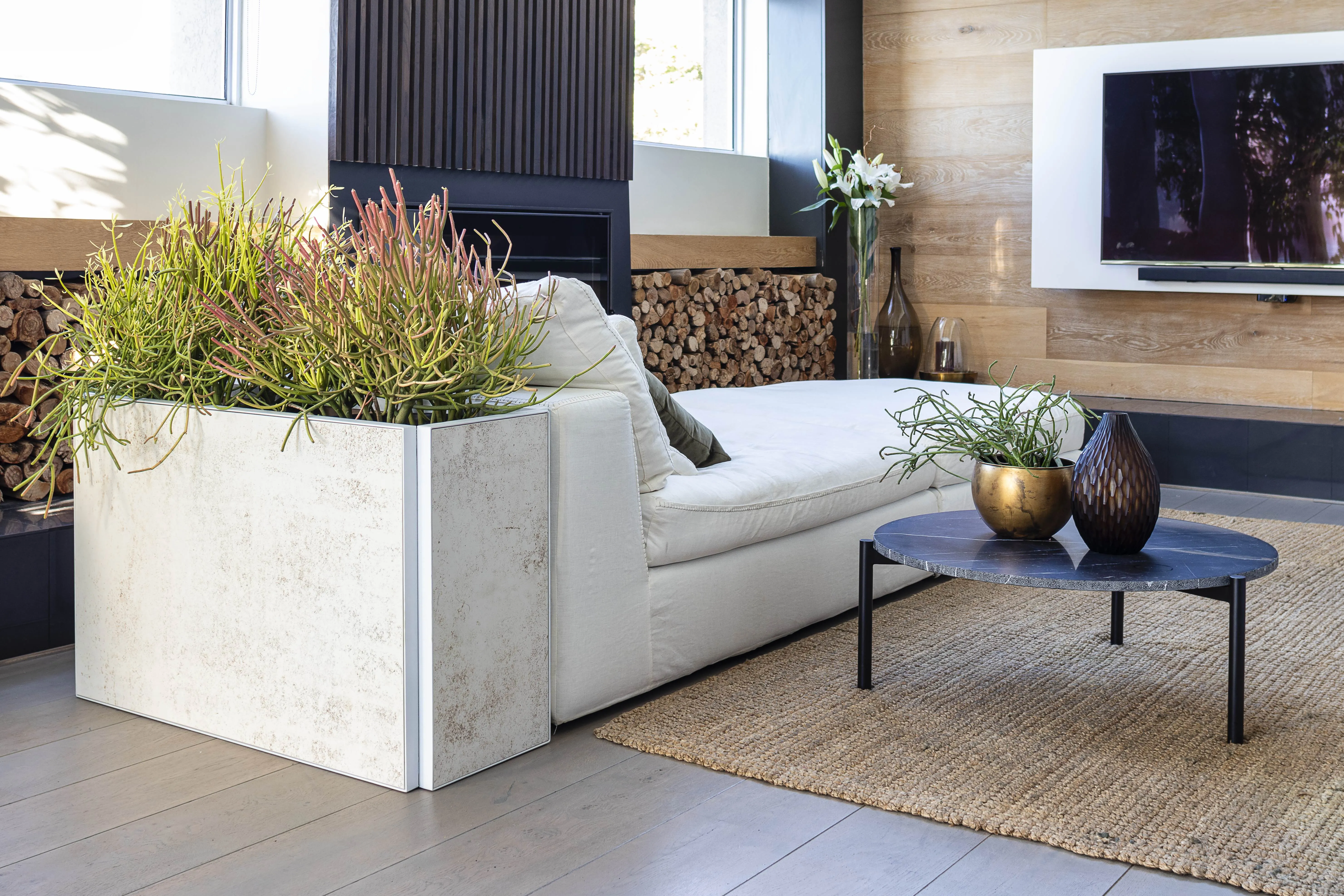 Blomma Planter