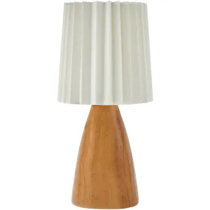 Chic Modern Accent Lamp