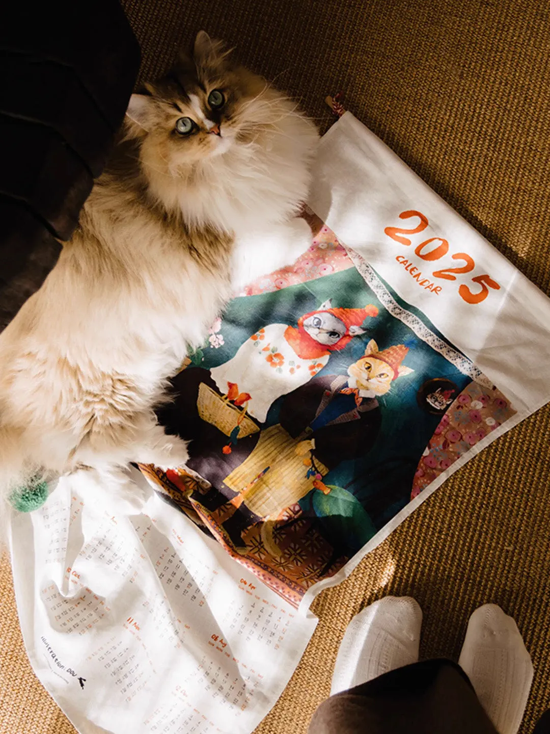 Chowxiaodou 2025 Illustrated Wall Calendar
