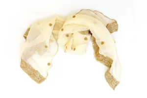 Creme Chiffon Embroidered Dupatta - Small Scarf