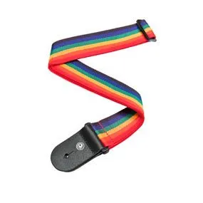 D'Addario Woven Guitar Strap W/Leather Ends PWS