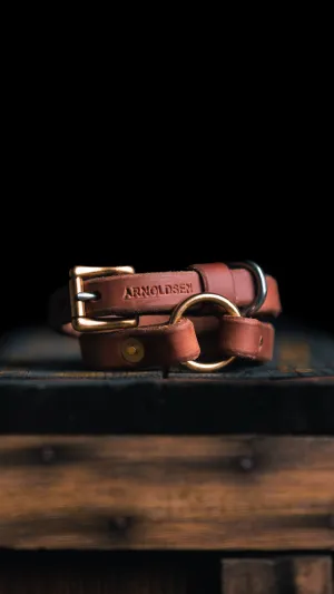 Dog Tack Collar