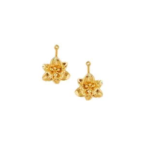Gazer Drops in Gold