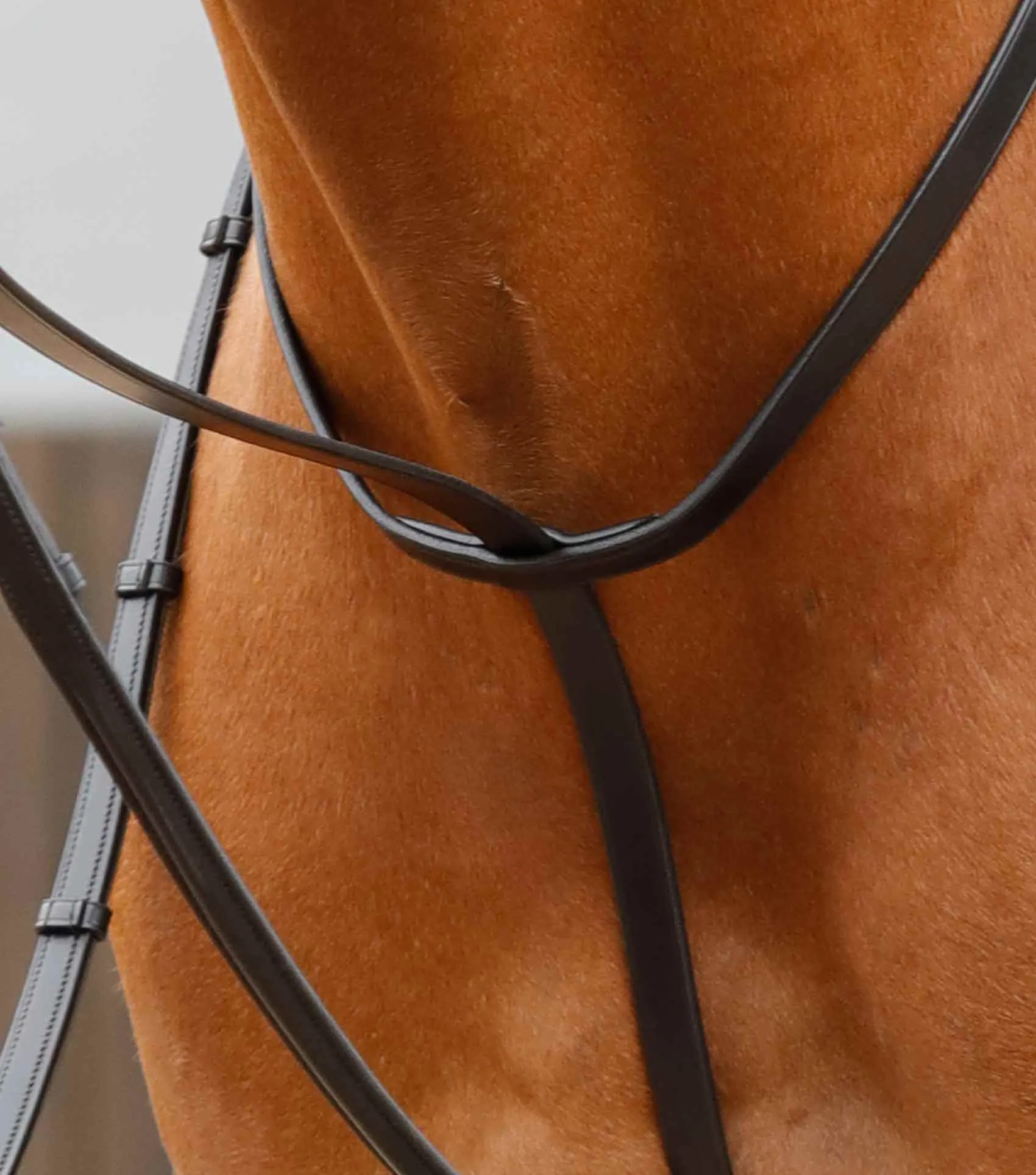 Gressan Standing Martingale Black
