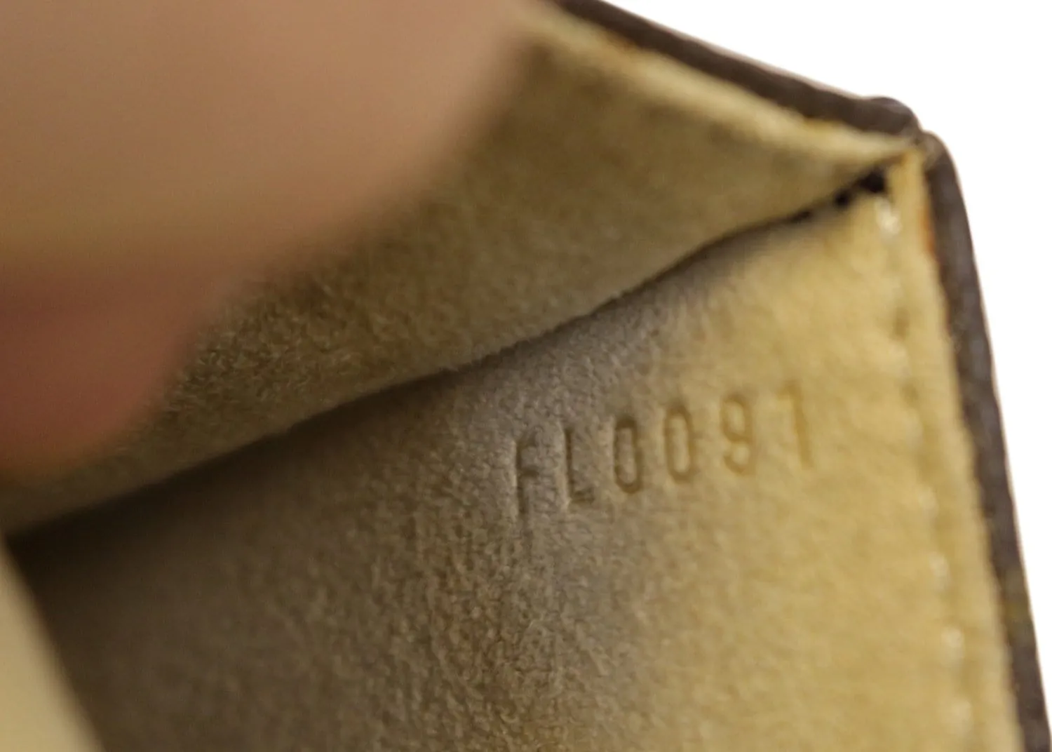 LOUIS VUITTON Monogram Canvas Pochette Florentine Bag