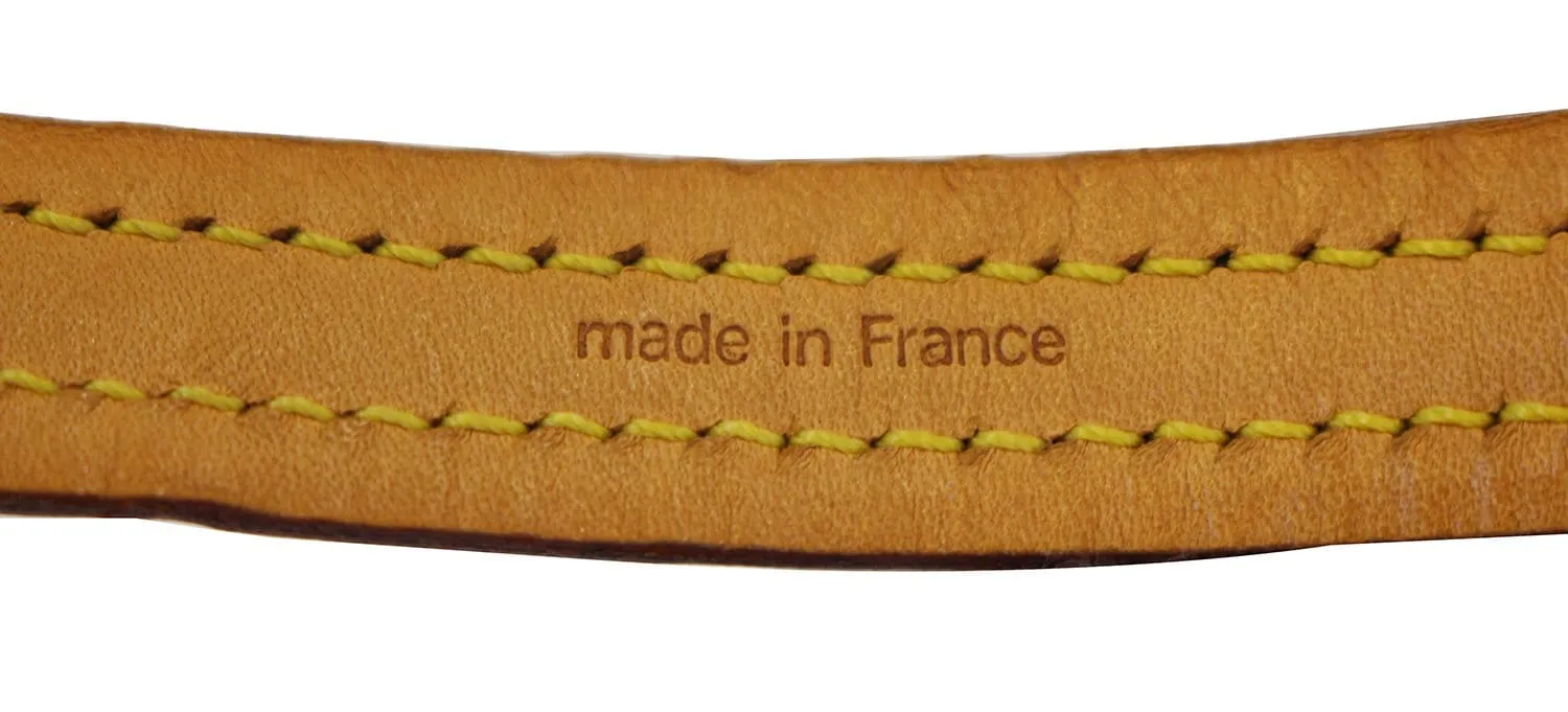 LOUIS VUITTON Monogram Dog Leash Baxter MM
