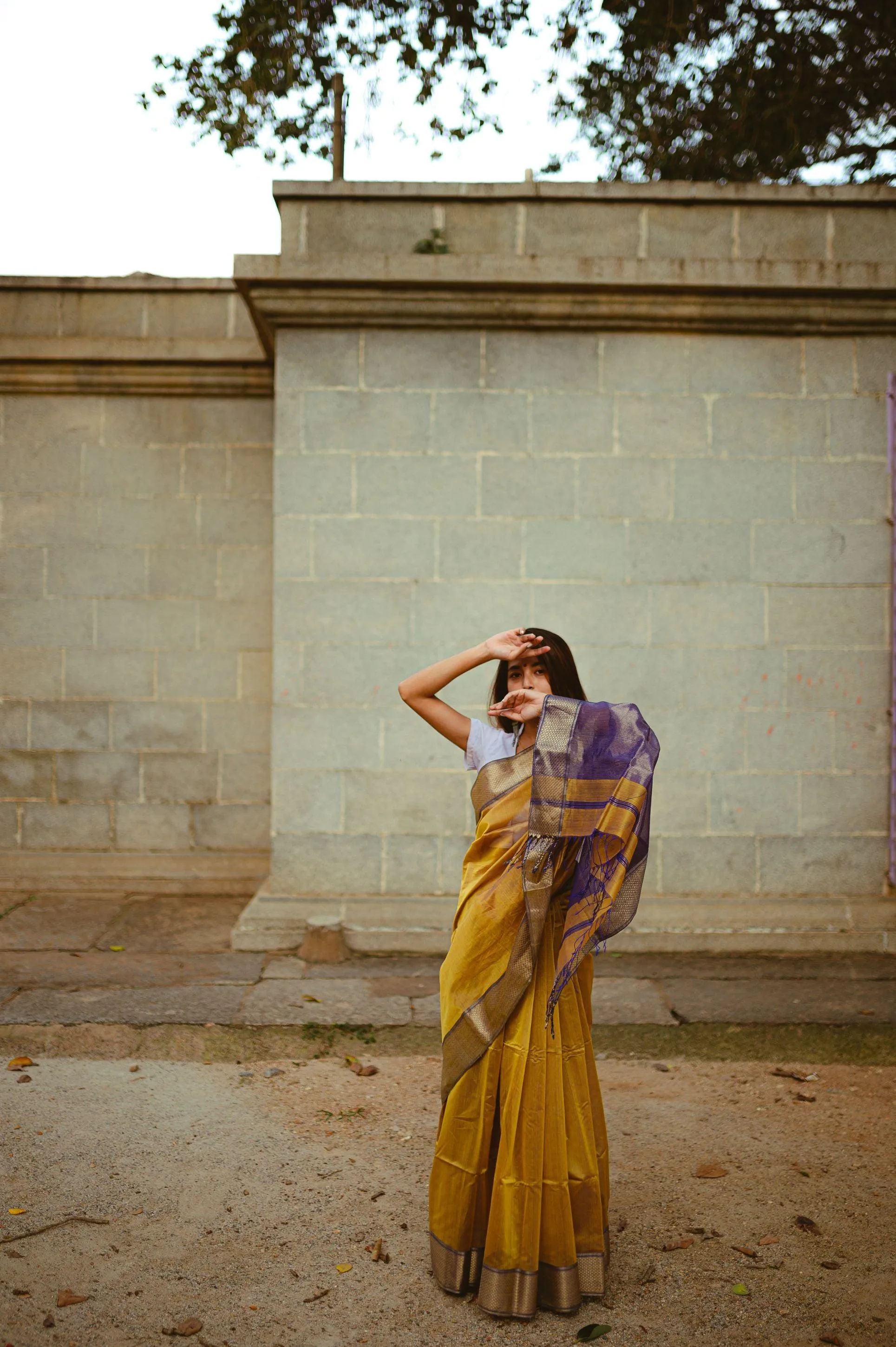Maheswari Handloom saree - Seher - Mustard zari