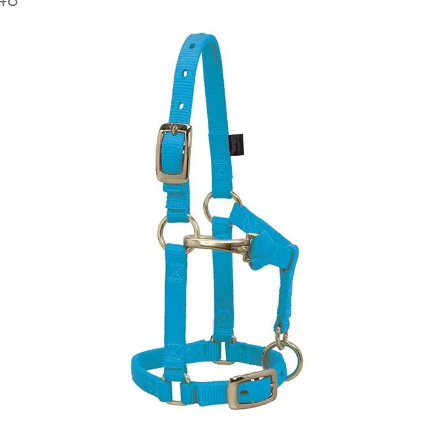 MINI AVERAGE NYLON HALTER