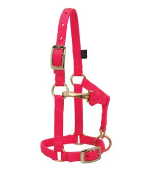 MINI AVERAGE NYLON HALTER