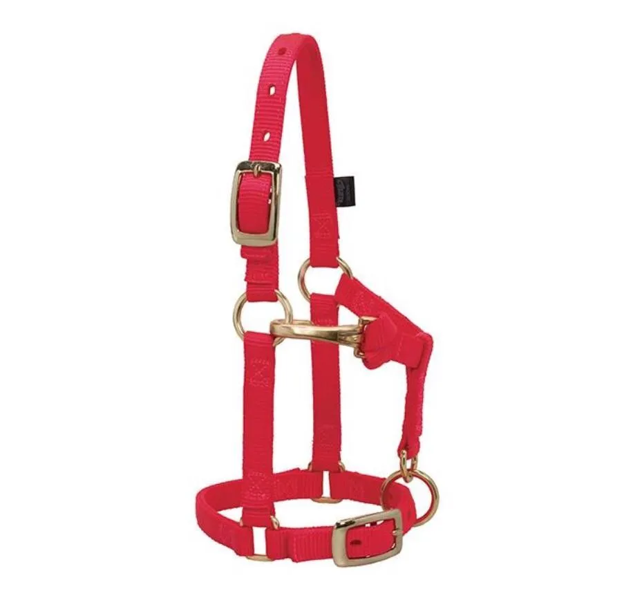 MINI AVERAGE NYLON HALTER