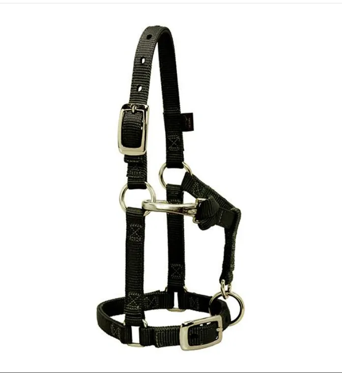 MINI AVERAGE NYLON HALTER