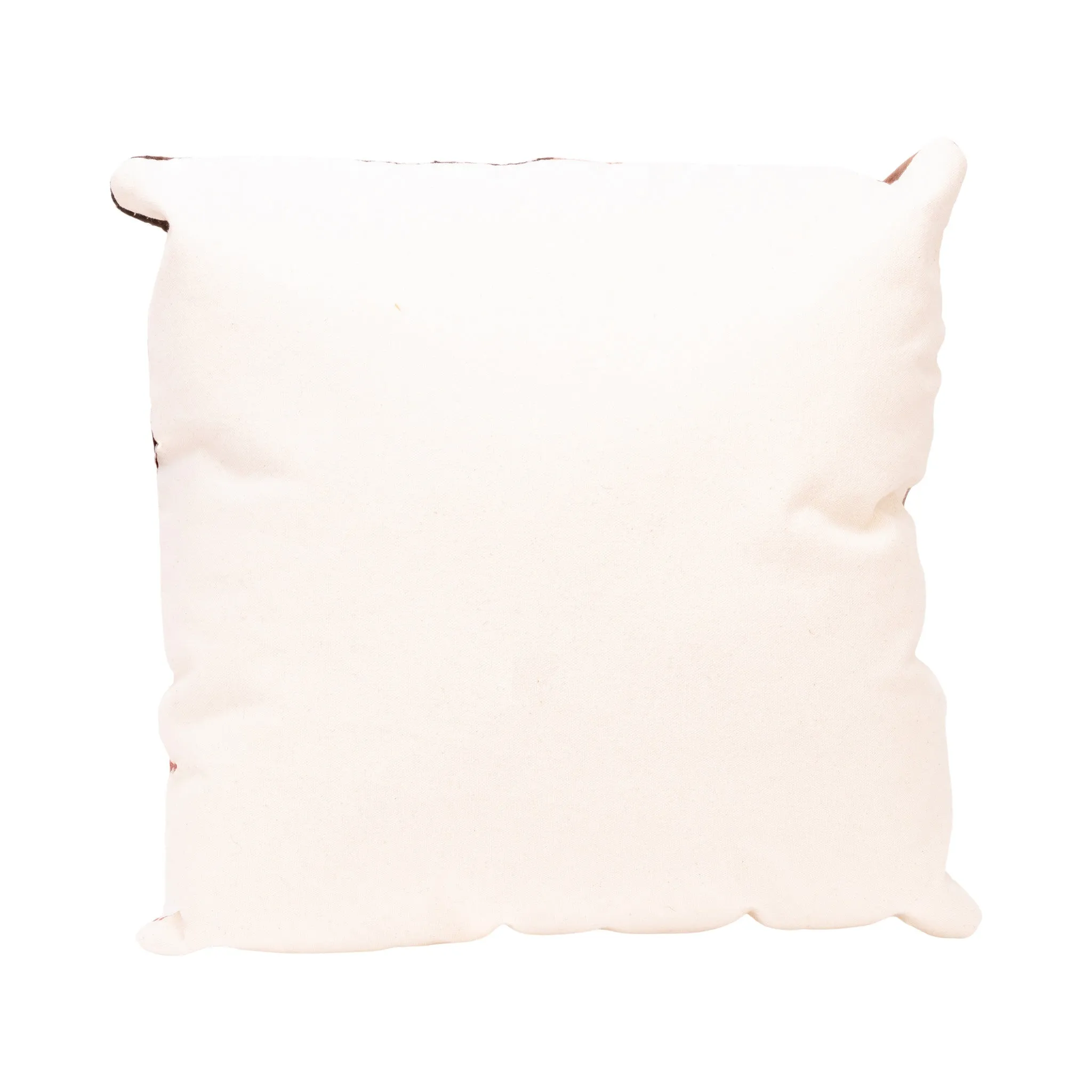 Native Lodge Pillow