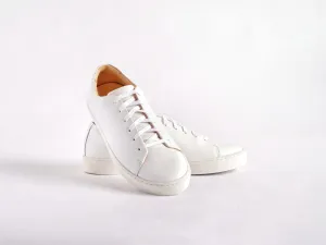Oak Sneaker - White