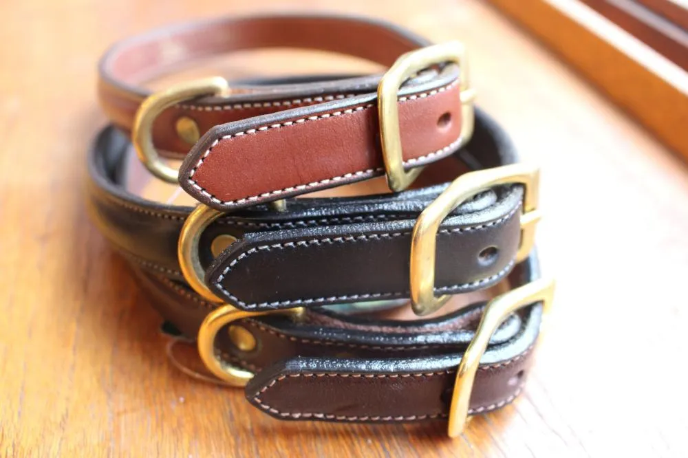 Raised Collar with space for a name plate in Black
