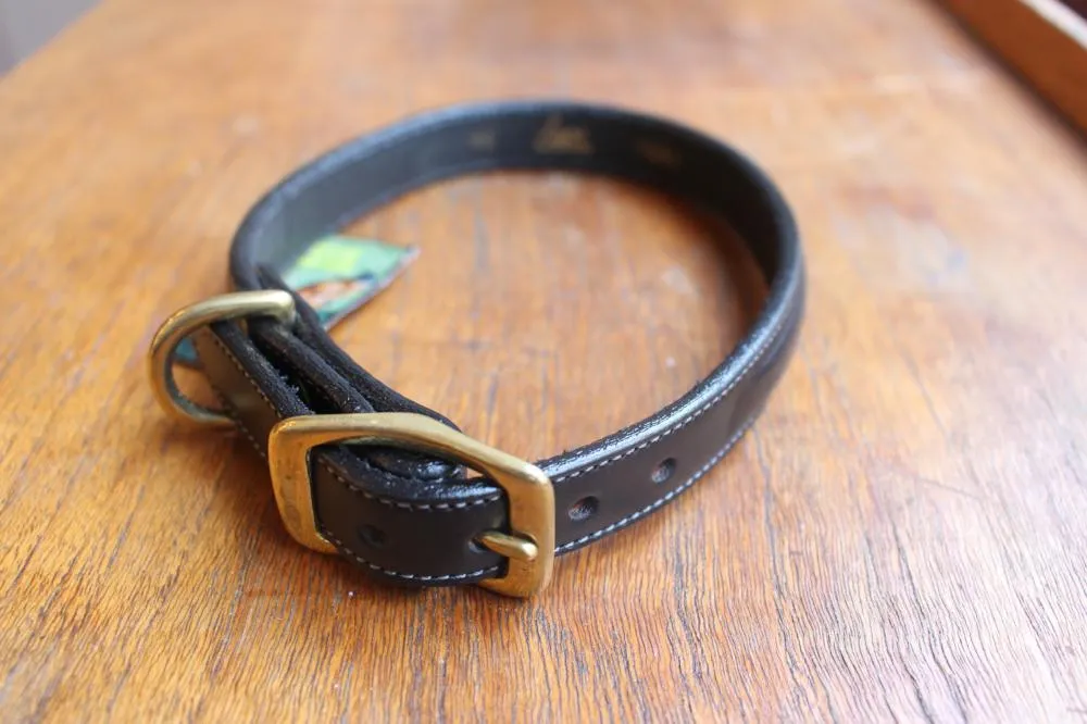 Raised Collar with space for a name plate in Havanna