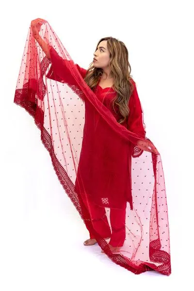 Red Net Salwar Kameez-Suit - Sobia Nazir Festive 2019