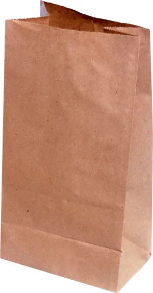 RiteEarth - 20 Lbs Plain Kraft Paper Bag, Pack of 500 - PB200K
