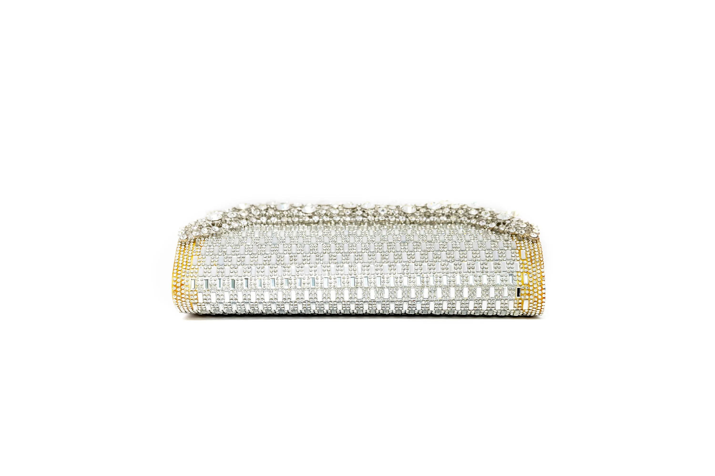 Silver Clutch Purse