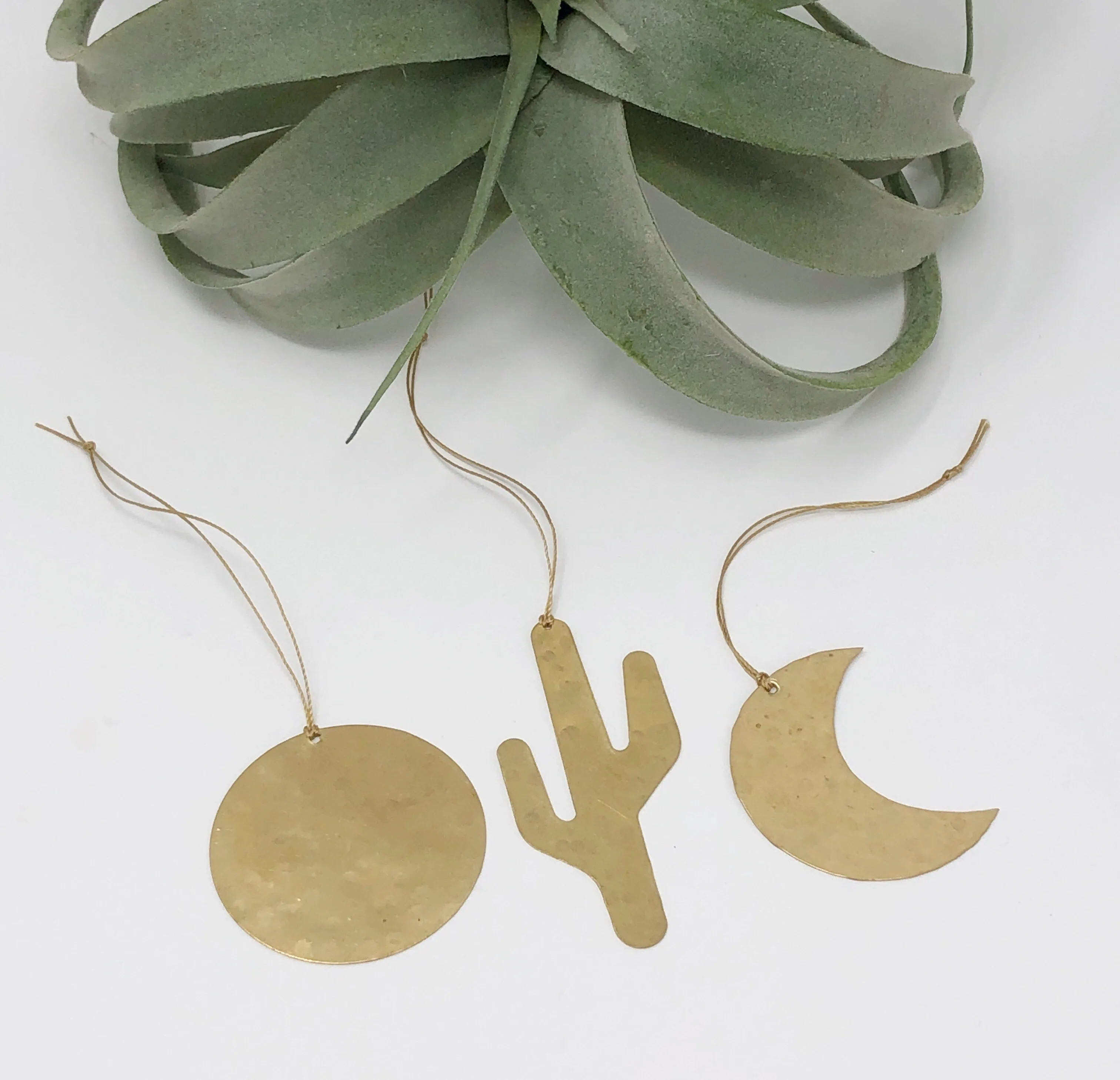Sonoran Ornament Set