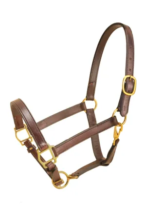 Tory Leather 1" Cob Halter With Single Crown Buckle, Snap Throat