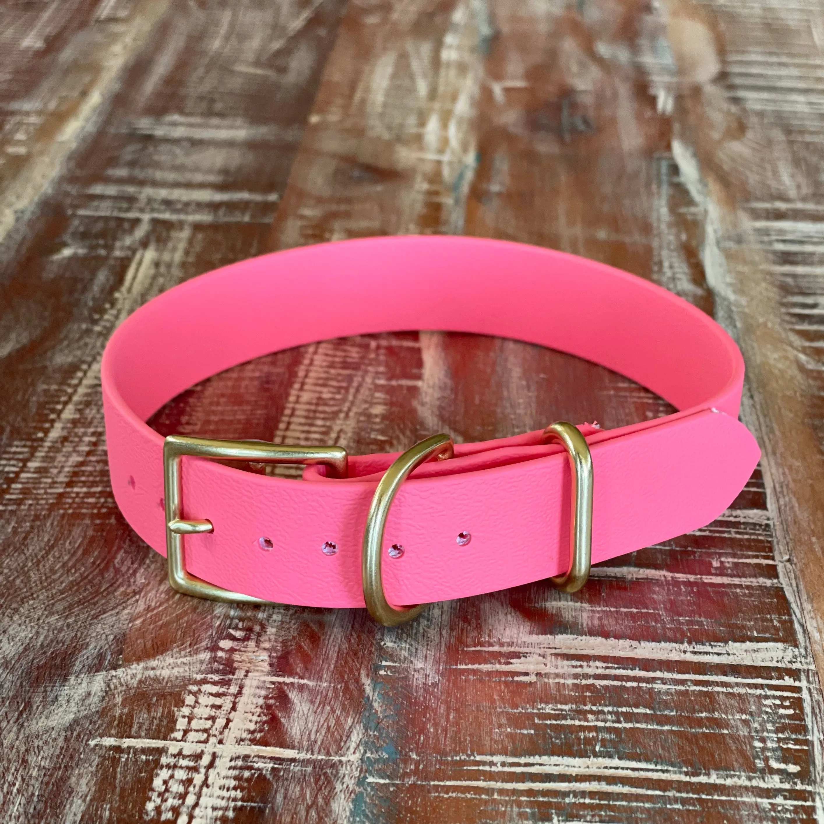 Waterproof Buckle Collar : Coral   Brass