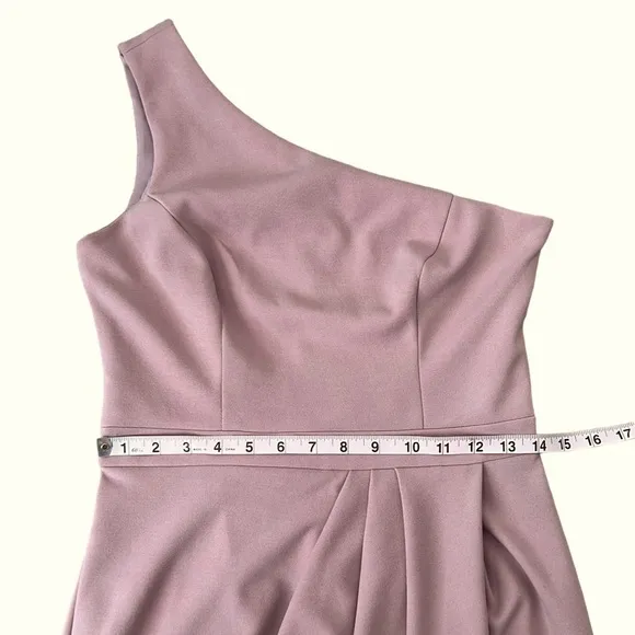 Xscape Rose One Shoulder Scuba Crepe Gown Size 4 Reg. $238